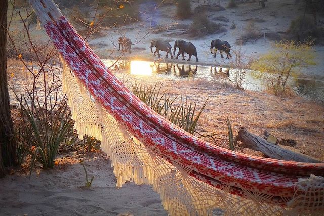 Voyage Sur la route des éléphants