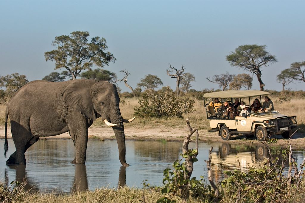 Voyage Botswana