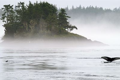 Voyage  Vancouver et les Rocheuses