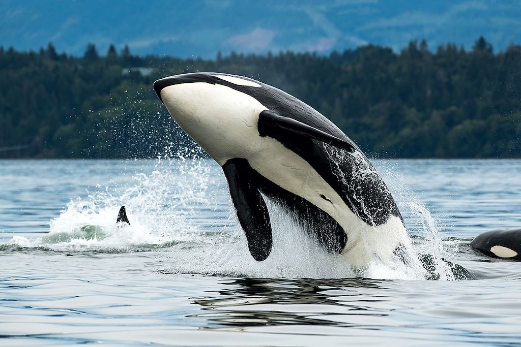 Voyage Vancouver et les Rocheuses