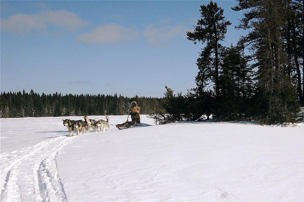 Voyage Aventure husky au Québec 1