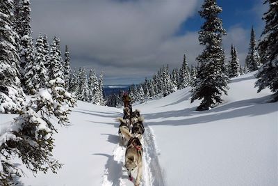 Traîneau à chiens Canada