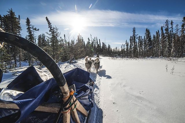 Voyage : Traîneau à chiens dans les forêts du Québec Voyage Traîneau à chiens dans les forêts du Québec
