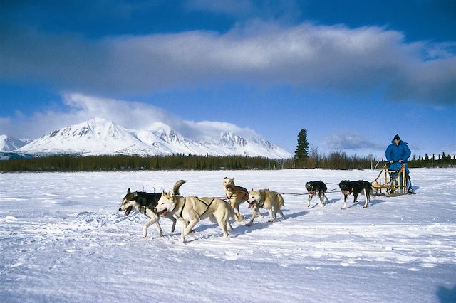 Aurores boréales : Yukon, l'appel du loup Voyage Yukon, l'appel du loup