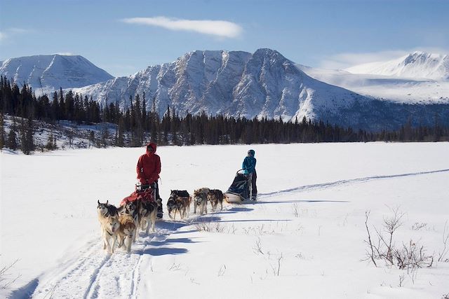 Aurores boréales : Yukon, l'appel du loup Voyage Yukon, l'appel du loup