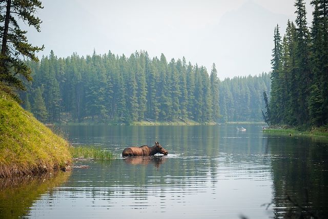 Voyage Des Rocheuses à l'île de Vancouver "tout confort"