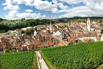 Voyage Patrimoine et Nature Suisse