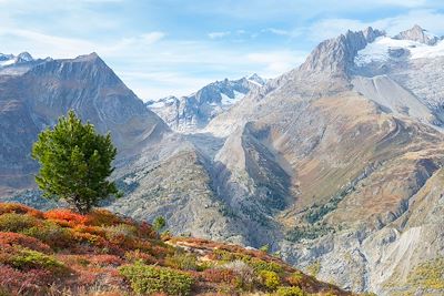 Voyage Suisse