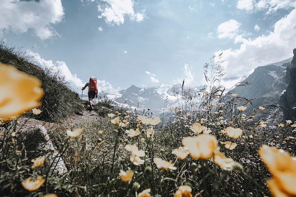 Voyage Suisse