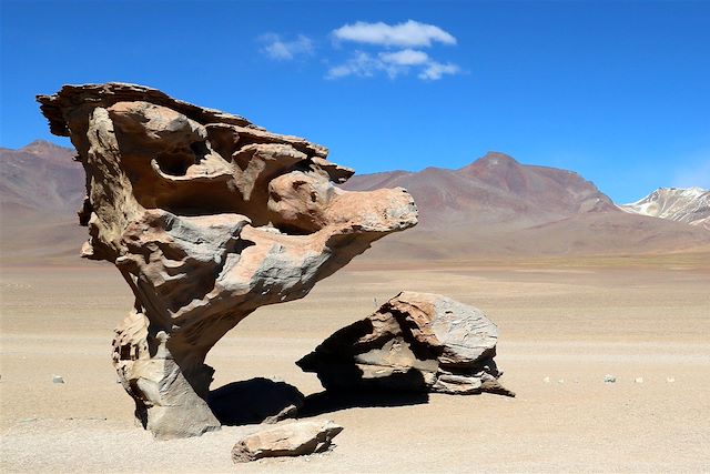 Découverte : Du désert d'Atacama au salar d'Uyuni Voyage Du désert d'Atacama au salar d'Uyuni