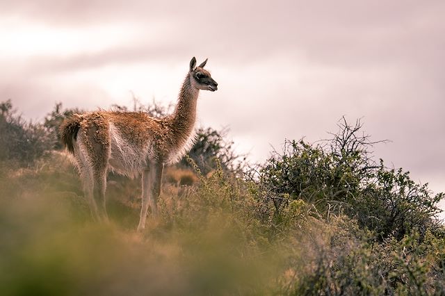 Montagne : Les derniers confins du monde Voyage Les derniers confins du monde