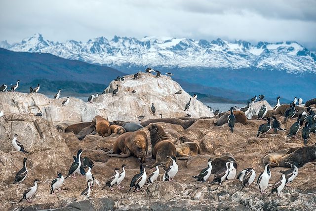 Voyage Patagonie : Fitz Roy, Paine et Ushuaia