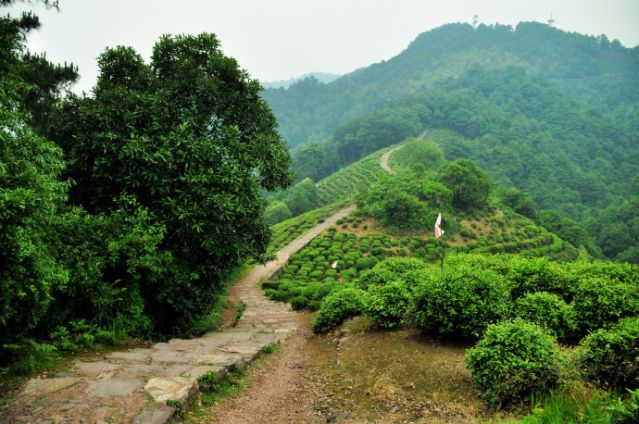 Voyage De la Grande Muraille au mont Wuyi 2