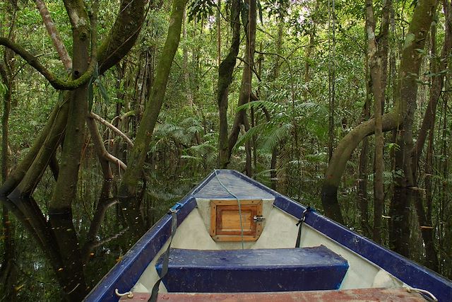 Observation animalière : Colombie secrète, entre faune, flore et lagons Voyage Colombie secrète, entre faune, flore et lagons