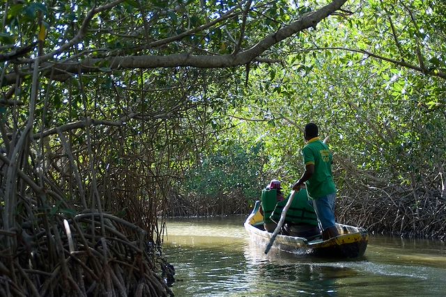 Voyage Colombie active : culture, jungle et plage