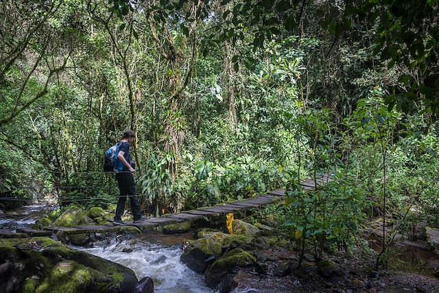 Observation animalière : Safari exotique en Colombie Voyage Safari exotique en Colombie