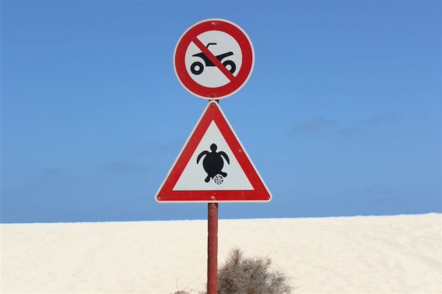 Mindelo : Entre vallées tropicales et désert de sable Voyage Entre vallées tropicales et désert de sable