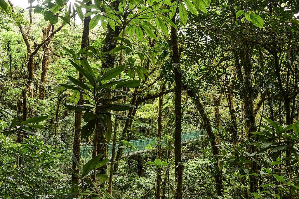 Voyage L'écotourisme de Boca Tapada à Nicoya