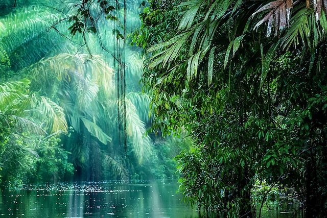 Voyage Safari exotique au Costa Rica