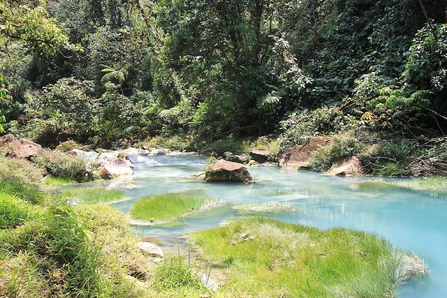 Patrimoine et Nature : Safari exotique au Costa Rica Voyage Safari exotique au Costa Rica