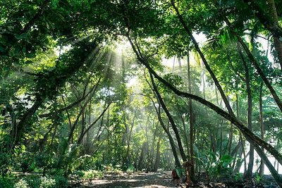 Trek Costa Rica