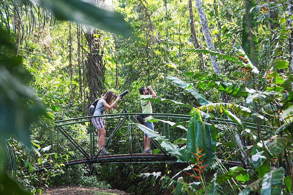 Voyage Trek et immersion nature au Corcovado 2