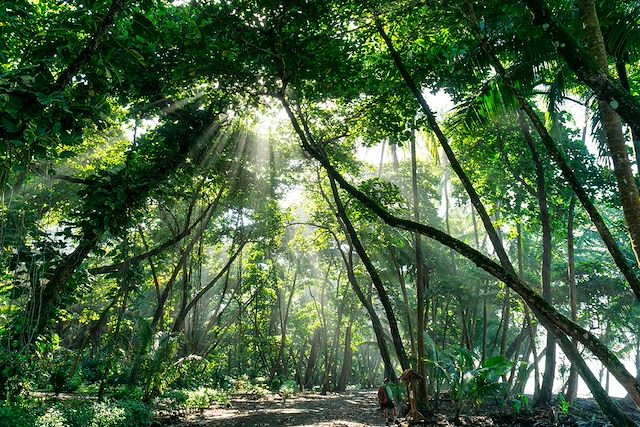 Multi-activités : Nature et sensations fortes au Costa Rica Voyage Nature et sensations fortes au Costa Rica