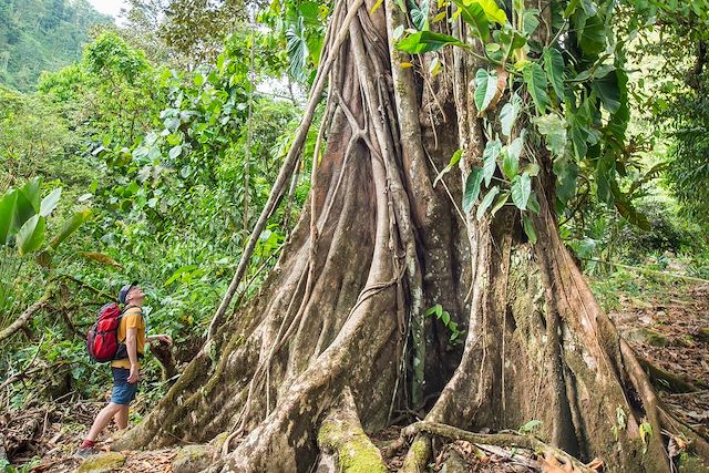 Voyage : Le grand tour du Costa Rica Voyage Le grand tour du Costa Rica
