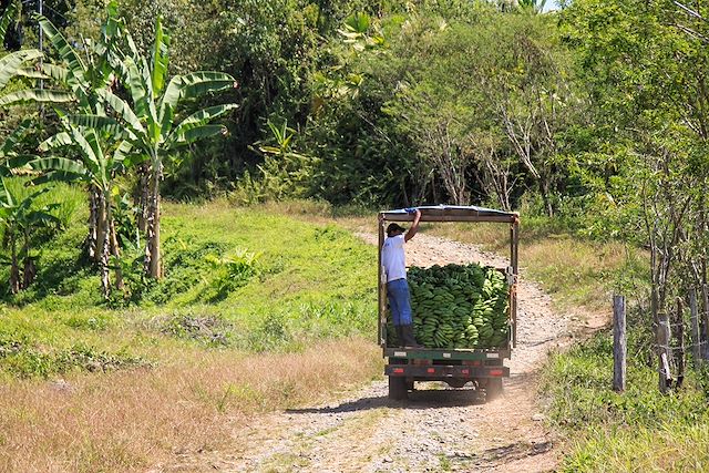 Voyage : Rencontres et immersion costaricaines Voyage Rencontres et immersion costaricaines