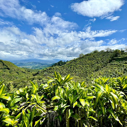 Voyage Costa Rica