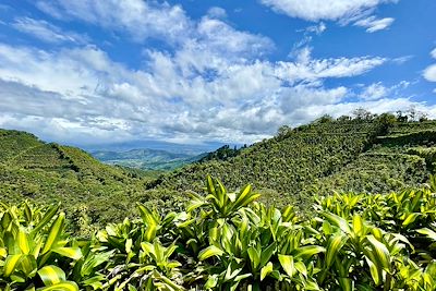 Voyage Costa Rica