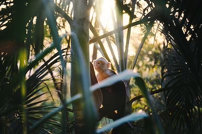 Voyages en famille Costa Rica