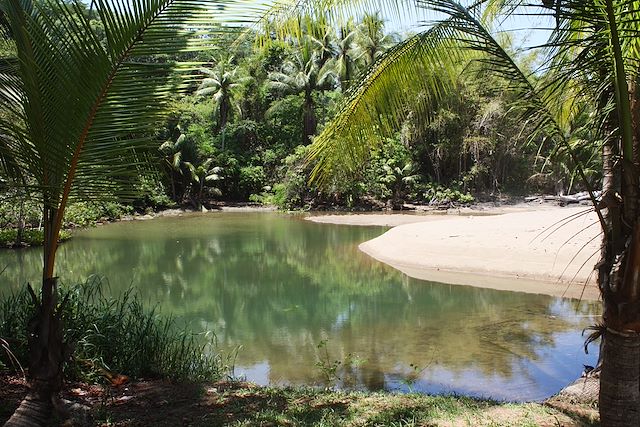 Voyage : De Tortuguero à Osa, une aventure en famille Voyage De Tortuguero à Osa, une aventure en famille