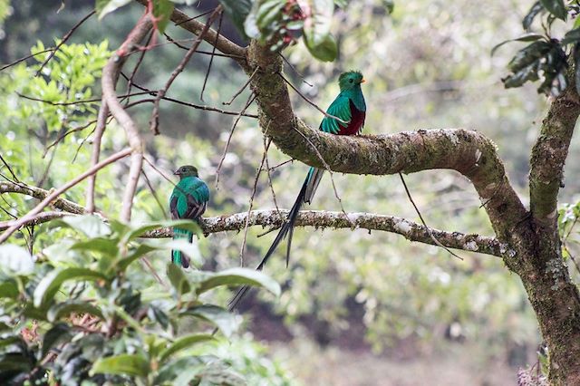 Voyage Rencontres et immersion costaricaines