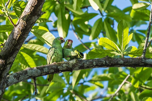 Voyage Le grand tour du Costa Rica
