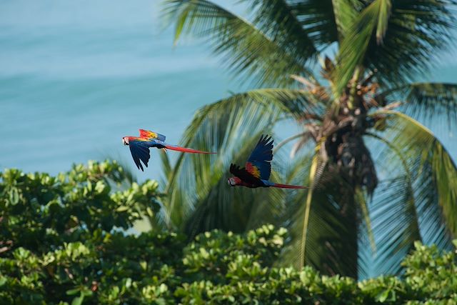 Voyage La nature à l'état pur 