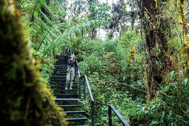 Voyage Trekking de Los Quetzales au Corcovado 