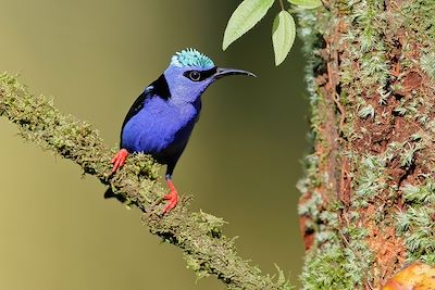Autotour Costa Rica
