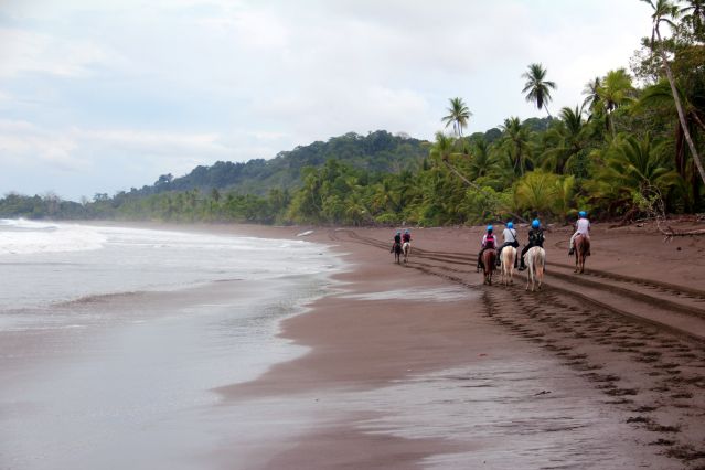 Voyage Nature et sensations fortes au Costa Rica 2