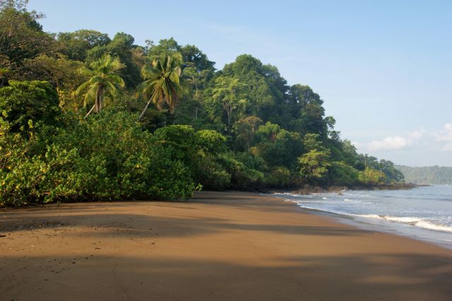 Voyage Balade costaricaine, entre faune et flore