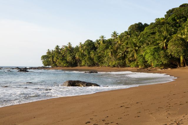 Voyage Balade costaricaine, entre faune et flore