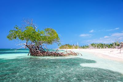 Voyage Forêts, collines, rivières et lacs Cuba