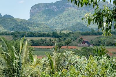 Cuba : Circuits accompagnés