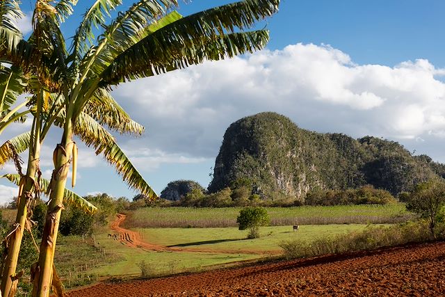 Voyage : Sur les sentiers cubains entre sierra et playa Voyage Sur les sentiers cubains entre sierra et playa