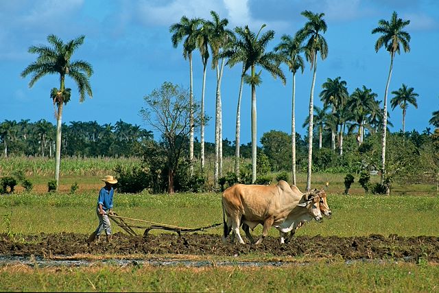 Vélo : Culture, détente, immersion : l'île de Cuba à vélo Voyage Culture, détente, immersion : l'île de Cuba à vélo