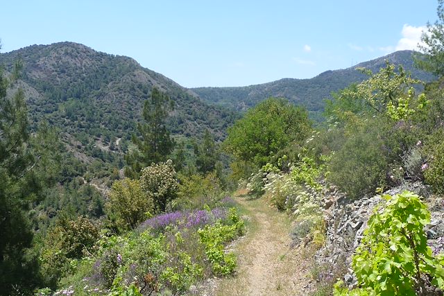 Autotour : Montagne du Troodos et péninsule de l'Akamas Voyage Montagne du Troodos et péninsule de l'Akamas