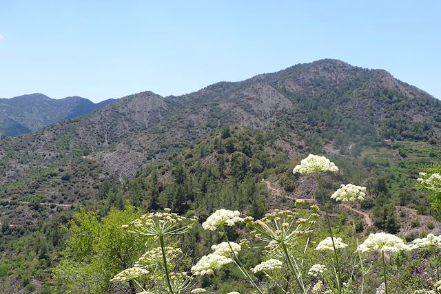 Autotour : Montagne du Troodos et péninsule de l'Akamas Voyage Montagne du Troodos et péninsule de l'Akamas