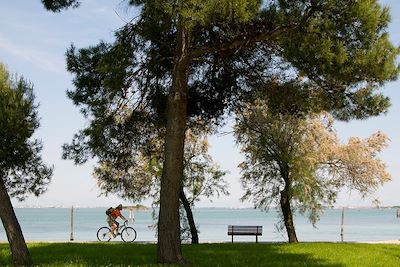 Voyage Forêts, collines, rivières et lacs Allemagne