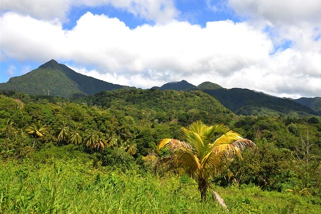 Voyage : La Dominique, entre jungle et volcans Voyage La Dominique, entre jungle et volcans
