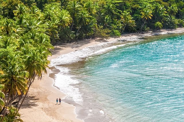 Voyage : La Dominique, entre jungle et volcans Voyage La Dominique, entre jungle et volcans